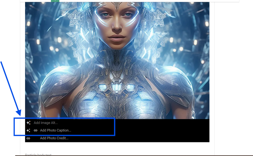 AI Alt Text and Image Caption
