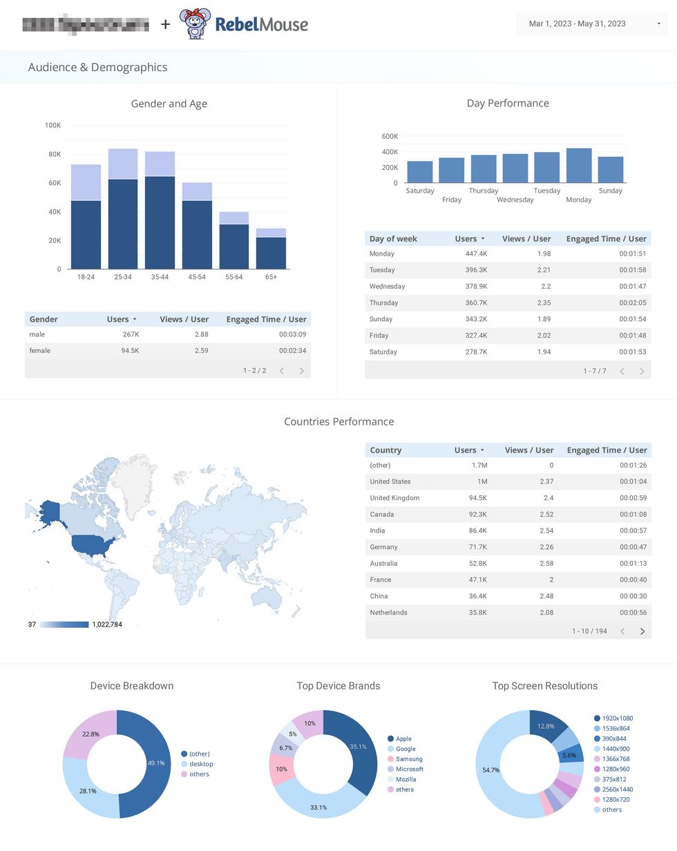 audience and demographics page of a Looker Studio dashboard customized by RebelMouse