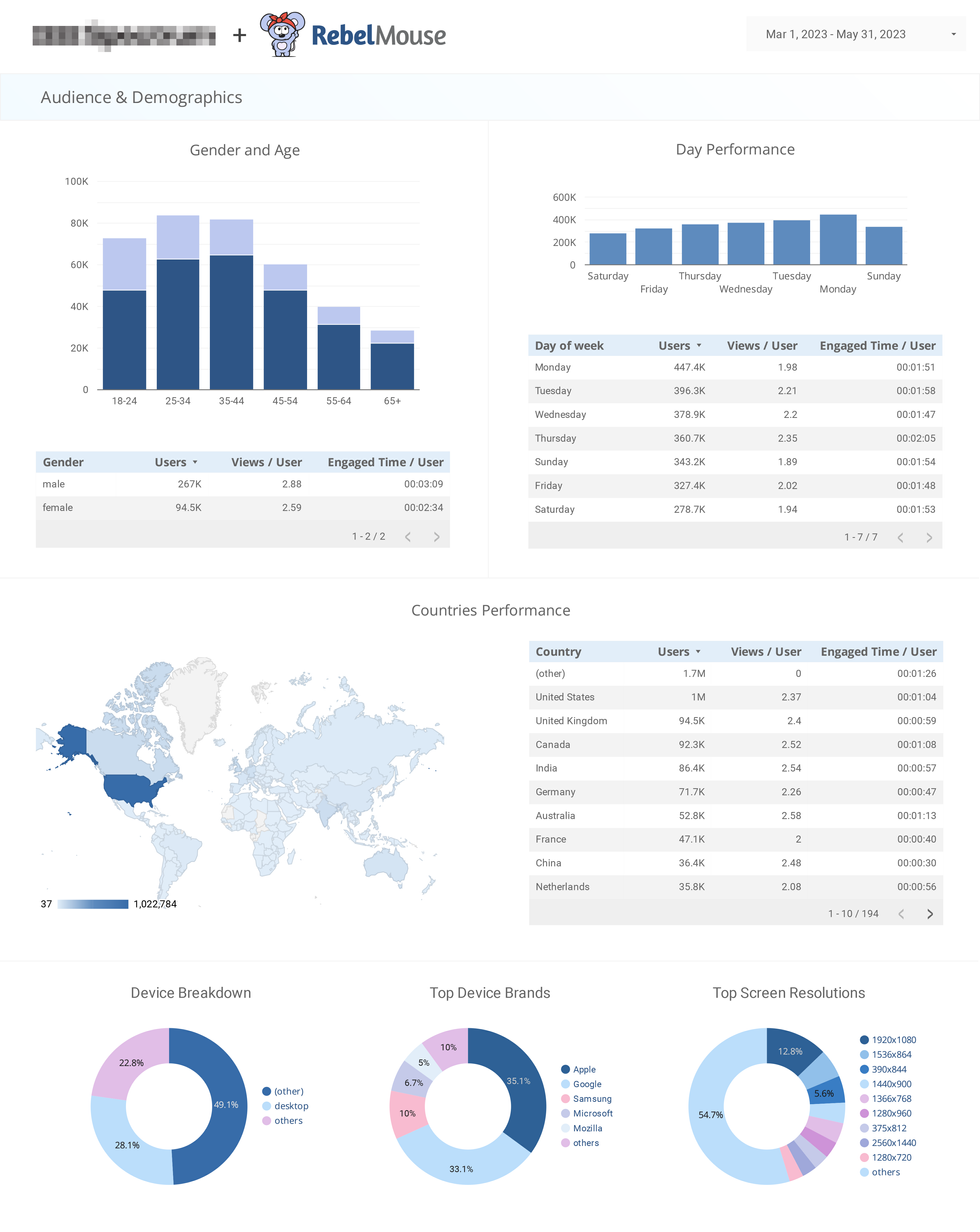 audience and demographics page of a Looker Studio dashboard customized by RebelMouse
