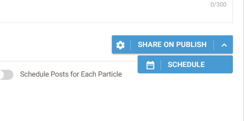 Buttons for "Share on Publish" and "Schedule" with a toggle for post scheduling.