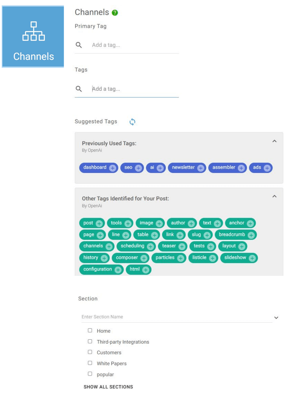 Channel settings interface with tag suggestions and section options.