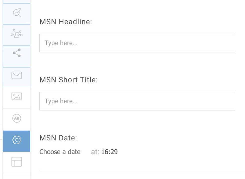 custom MSN fields in RebelMouse's Entry Editor