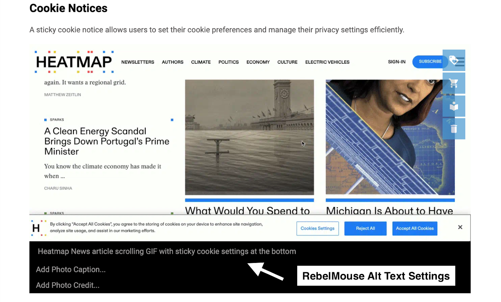 example of RebelMouse alt text image optimization settings in CMS