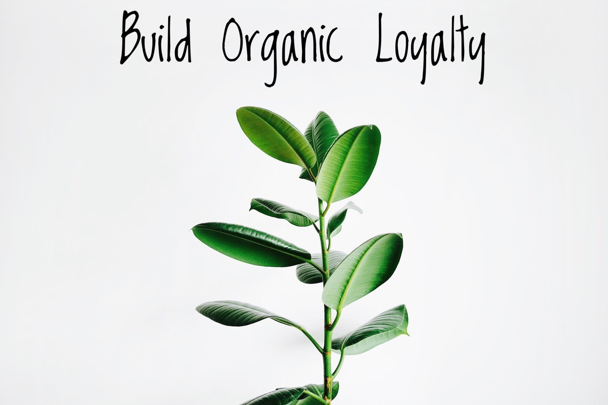 A Rebel's Guide to Building Organic Loyalty