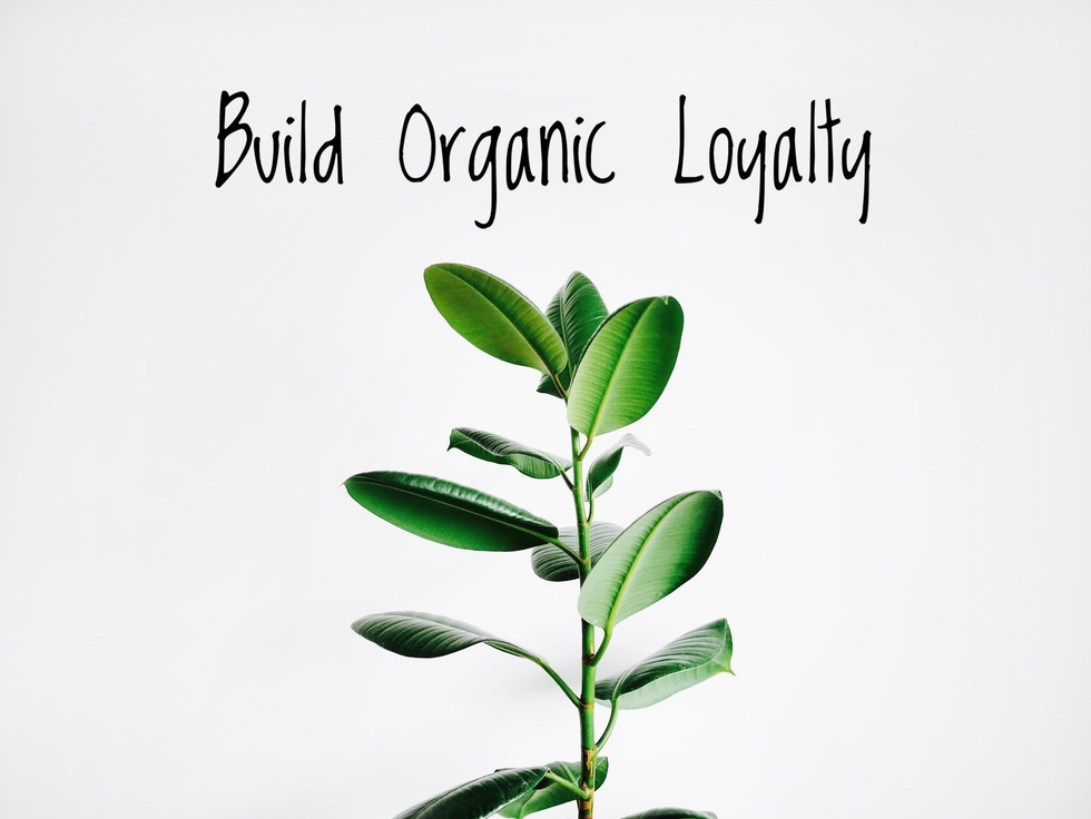 A Rebel's Guide to Building Organic Loyalty
