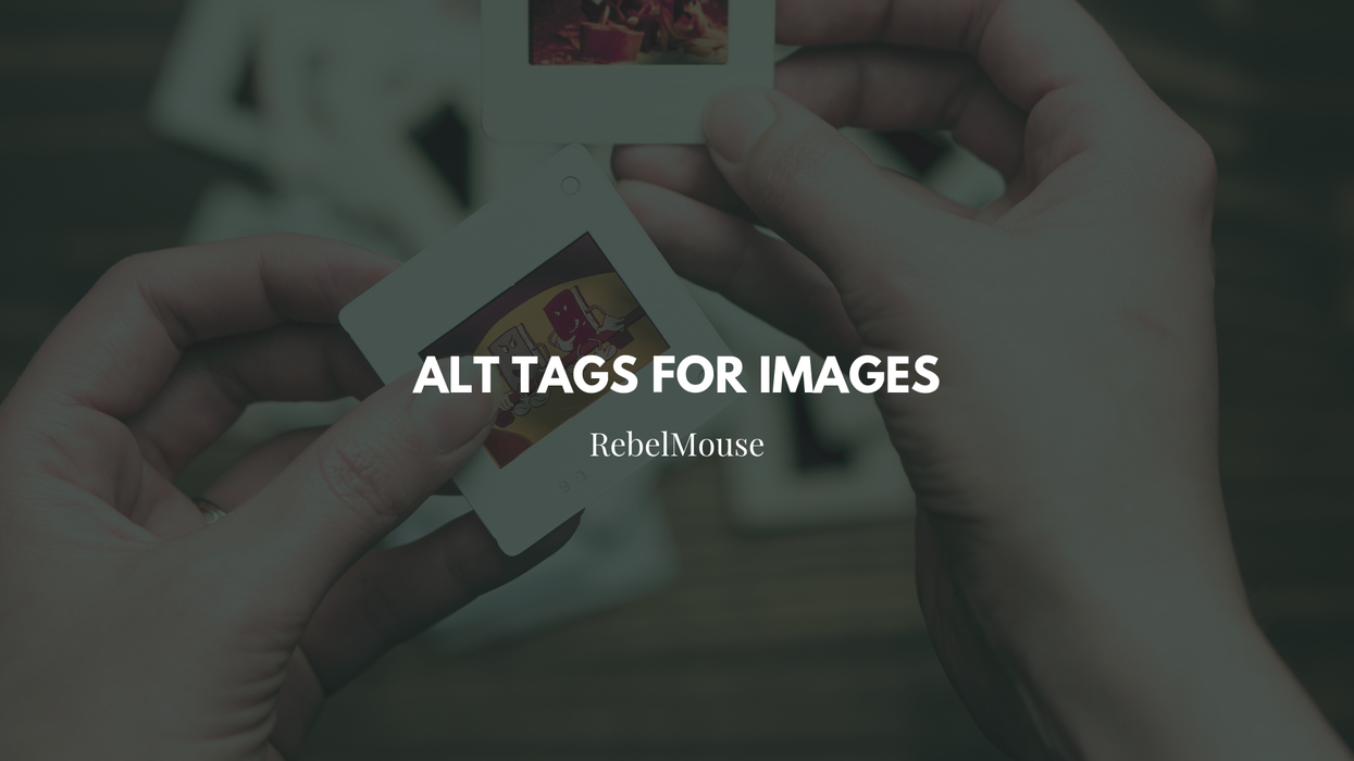 NEW! Exposed Alt Text Field