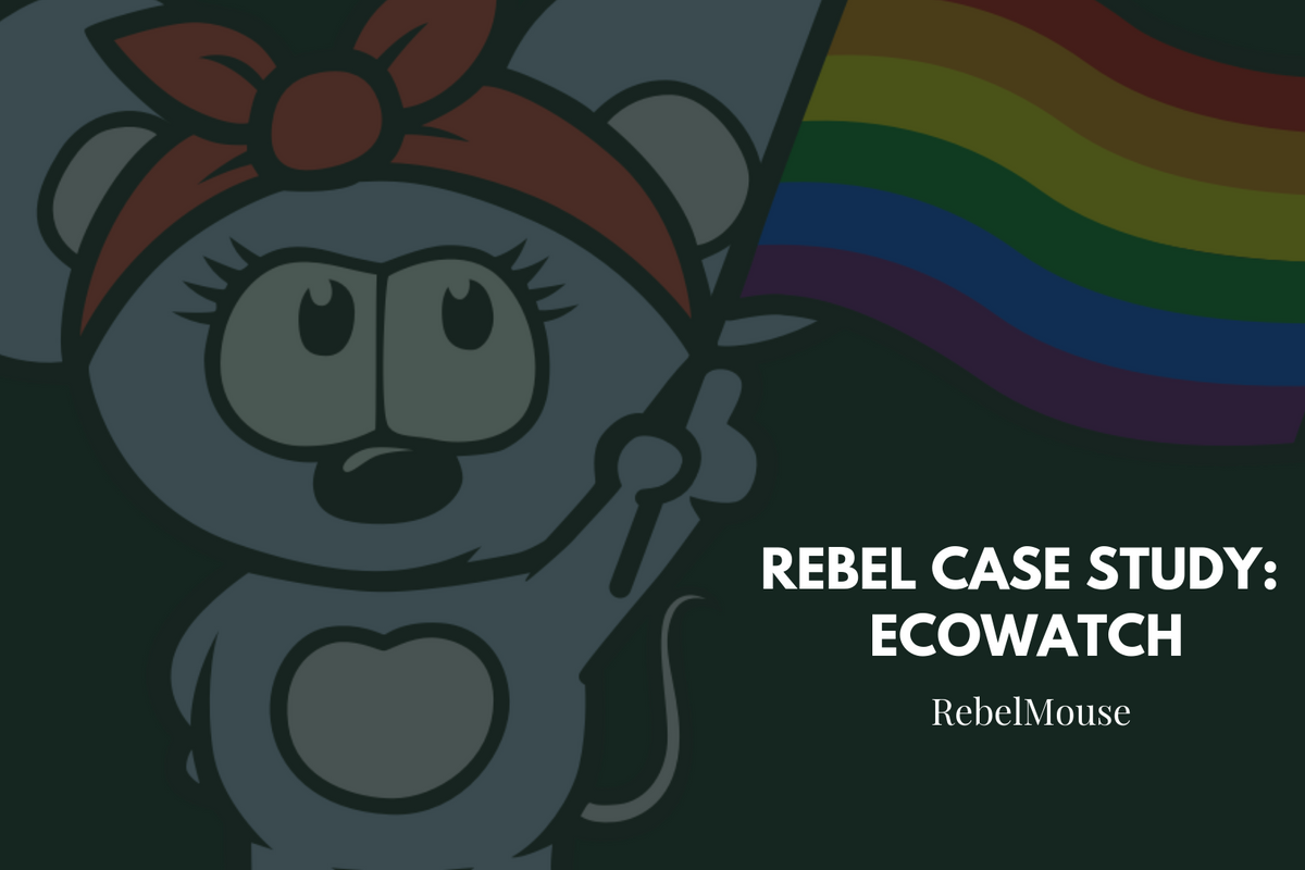 Rebel Case Study: EcoWatch