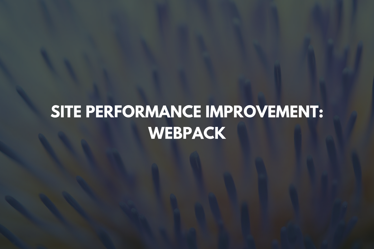 Site Performance Improvement: Webpack