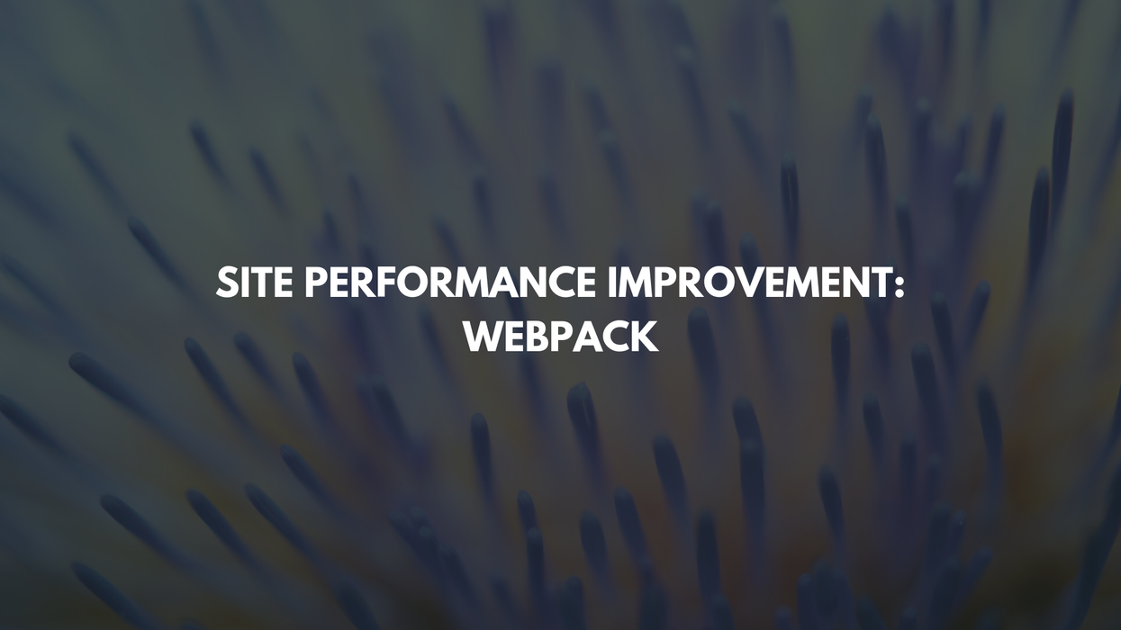 Site Performance Improvement: Webpack