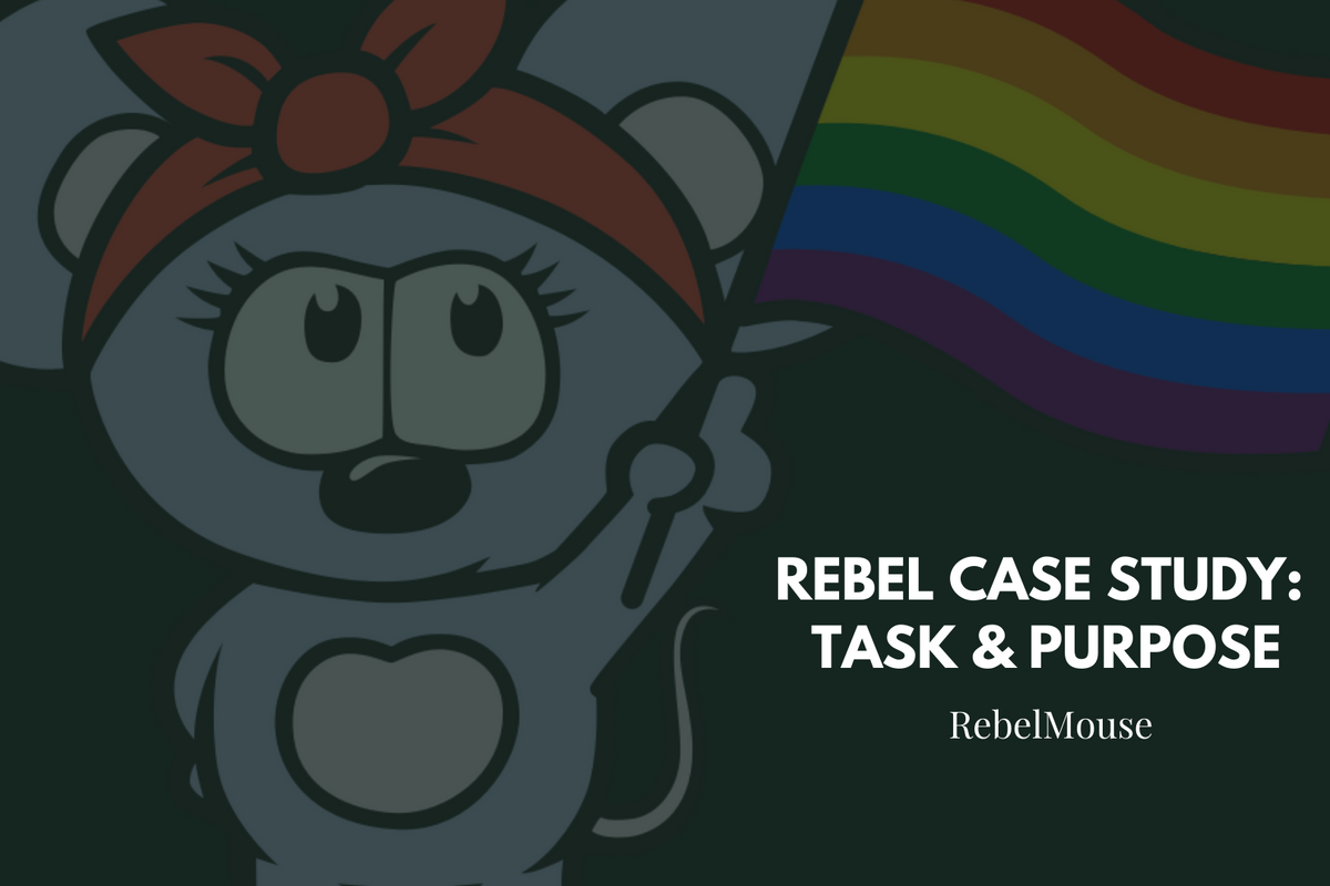Rebel Case Study: Task & Purpose