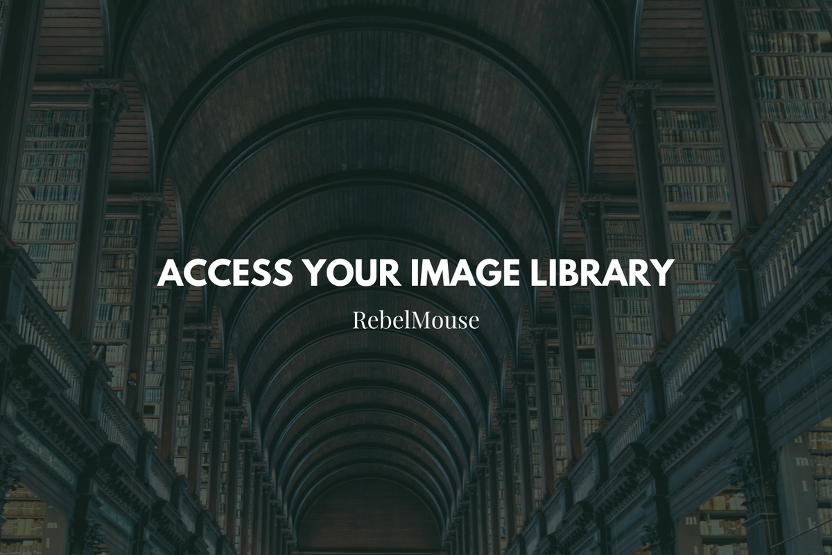 The Library: A Guide to Your Image Database