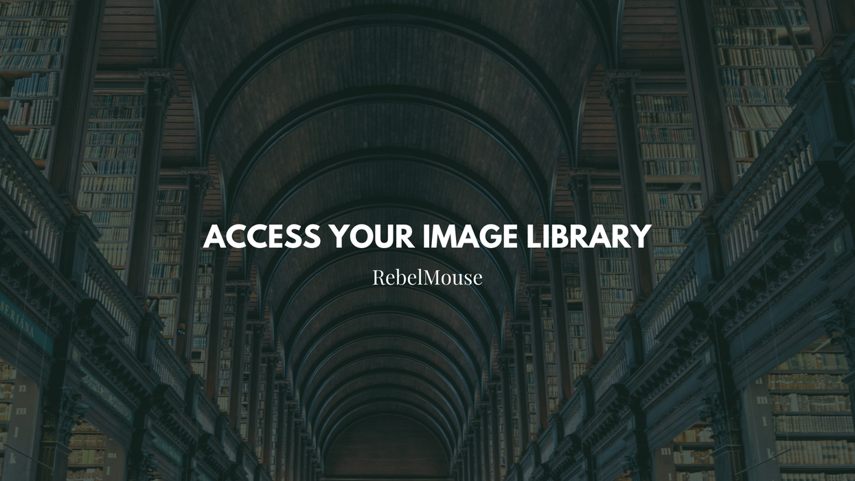 The Library: A Guide to Your Image Database
