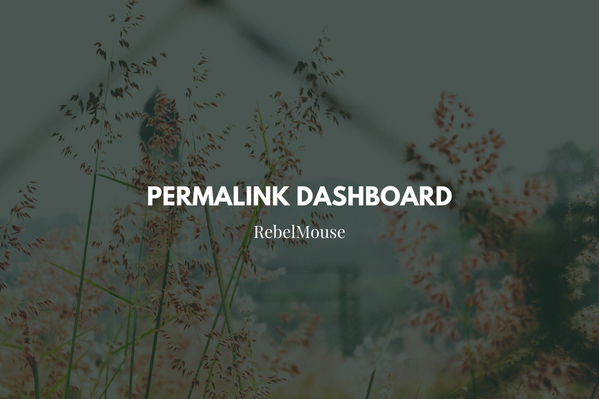 Choose Your URL Structure With Our Permalink Dashboard
