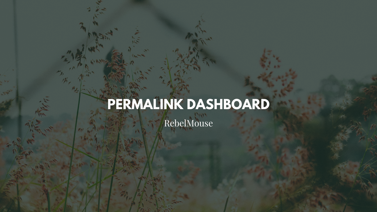 Choose Your URL Structure With Our Permalink Dashboard