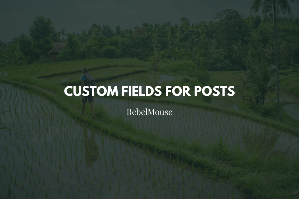 How to Add Custom Fields to Posts