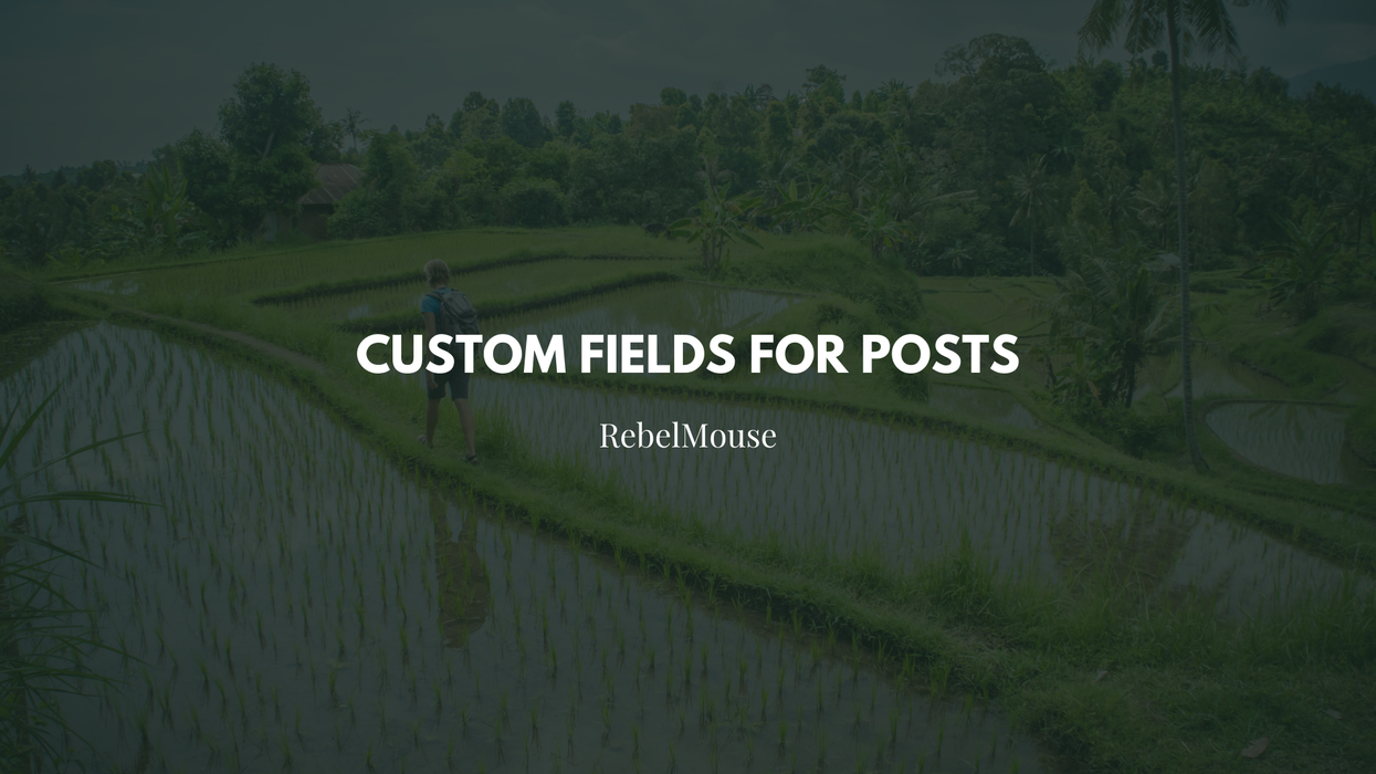 How to Add Custom Fields to Posts