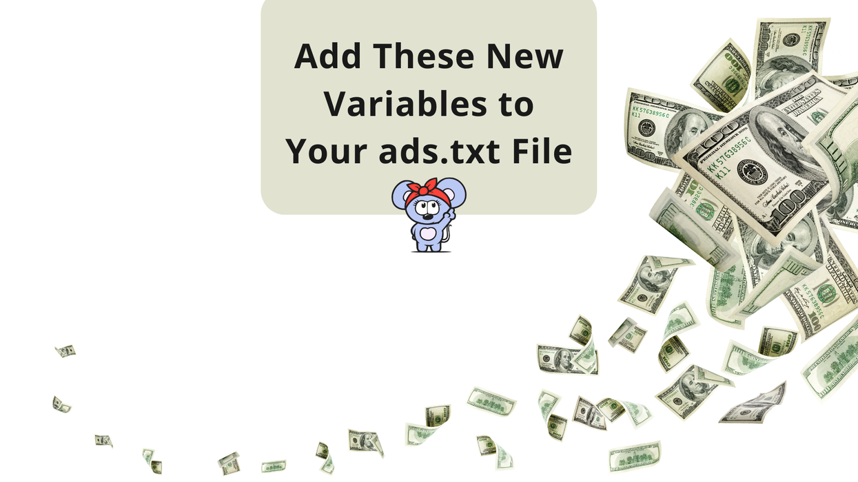 Add These New Variables to Your ads.txt File