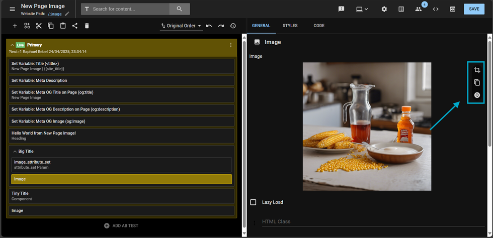 Layout and Design Tool page with an arrow pointing to the Image element options: crop, copy and replace