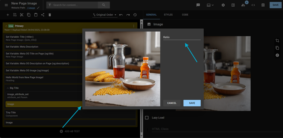 Layout and Design Tool pop with arrows pointing to the Image crop options