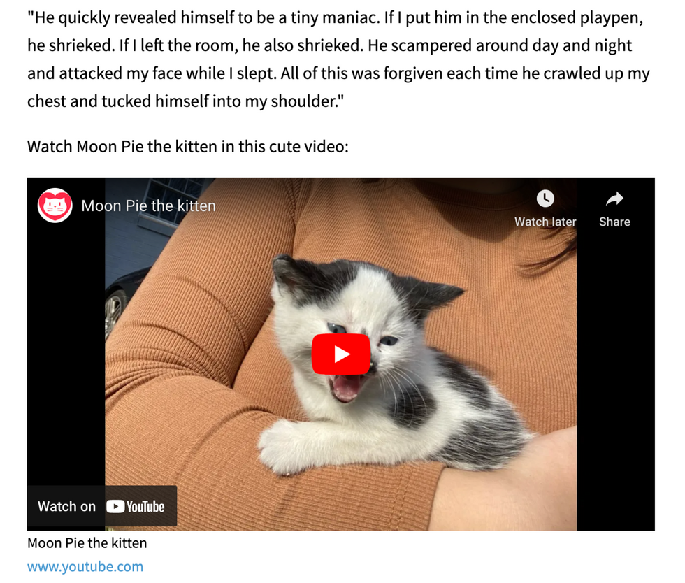 Love Meow repurposes YouTube video on their site