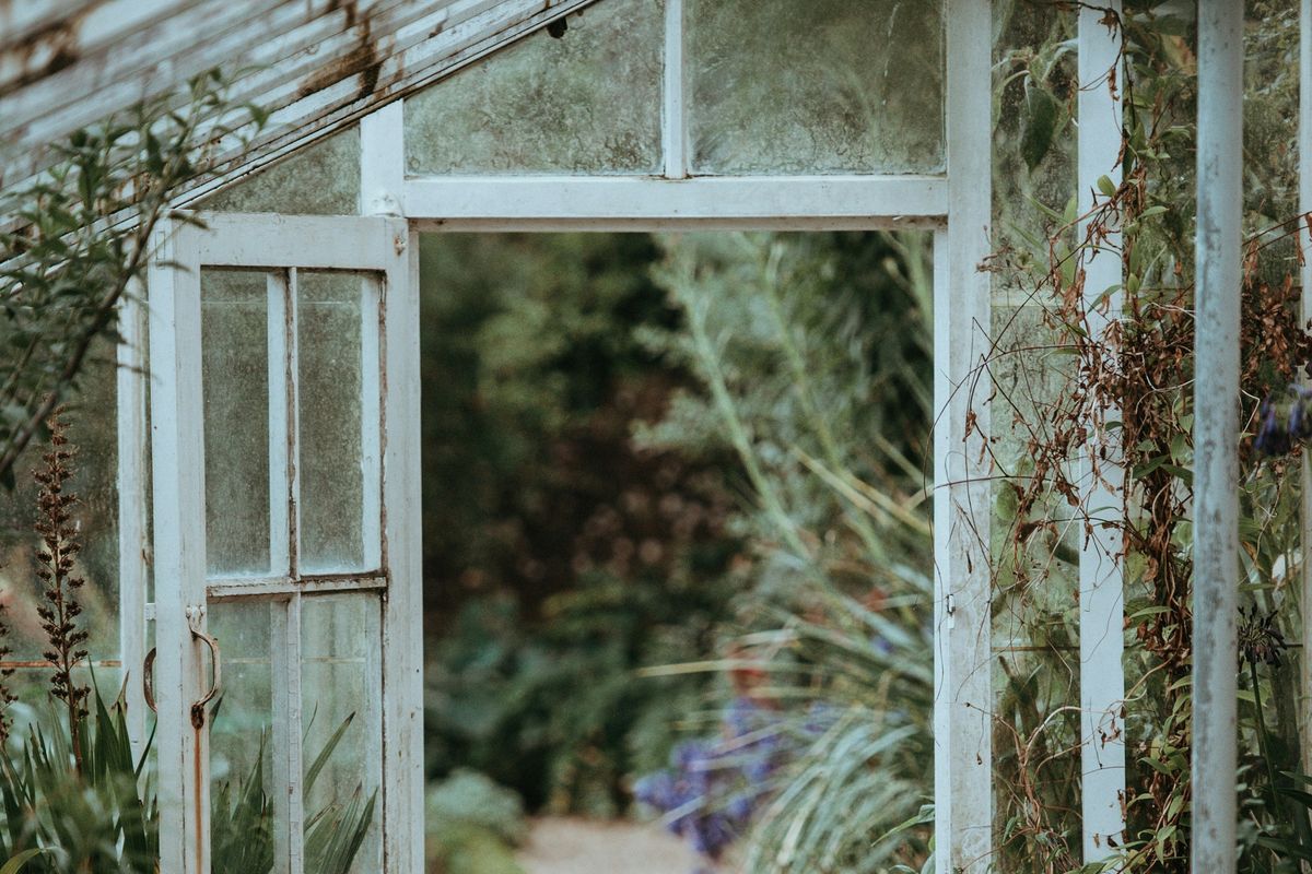 Open door of an overgrown, rustic greenhouse with lush plants visible outside.
