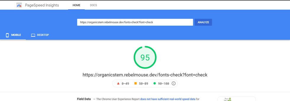 Page Speed Insights Optimized