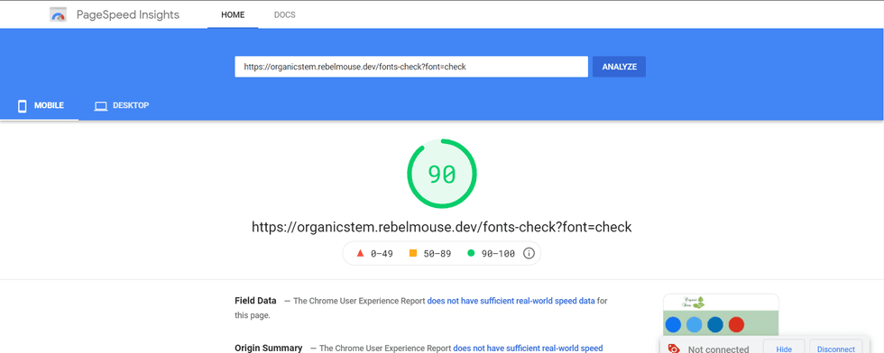 Page speed insights with load blocking fonts