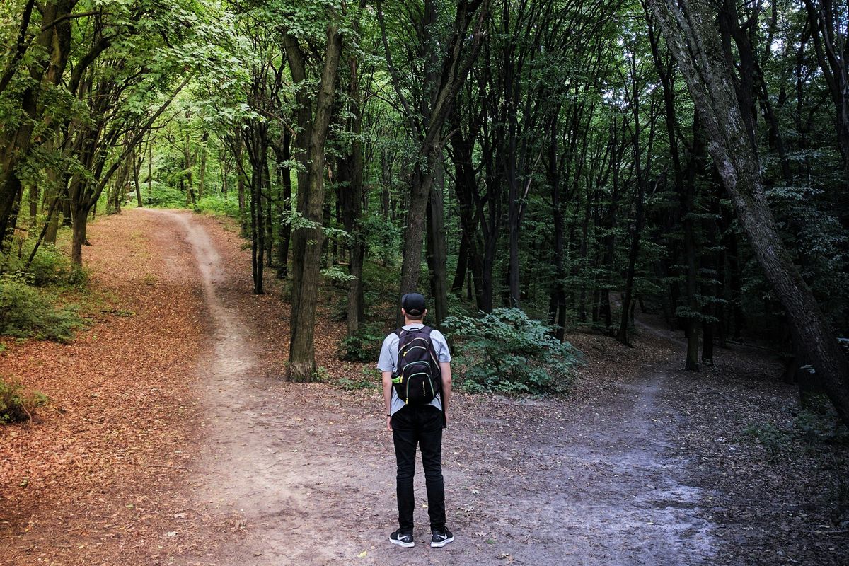 person with backpack at forest path fork; one side lit, the other dark