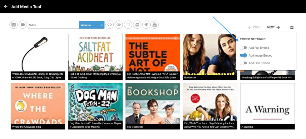 Screenshot of a media tool showing various book covers and an LED light search on Amazon.