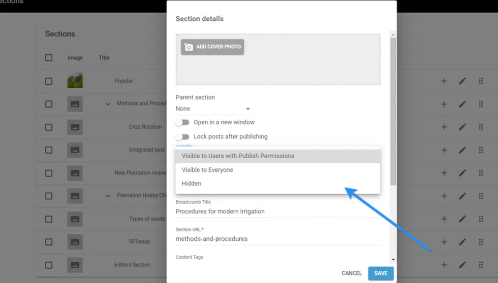 screenshot showing a section's details and a blue arrow pointing to the visibility options drop-down menu