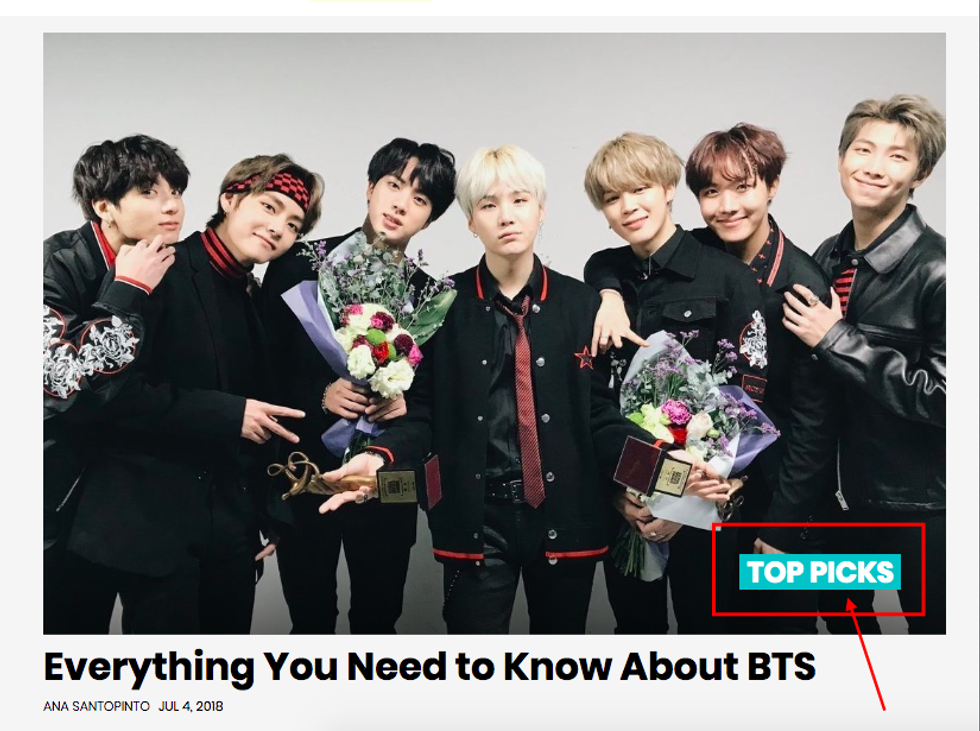 Screenshot showing a section's label on an article page