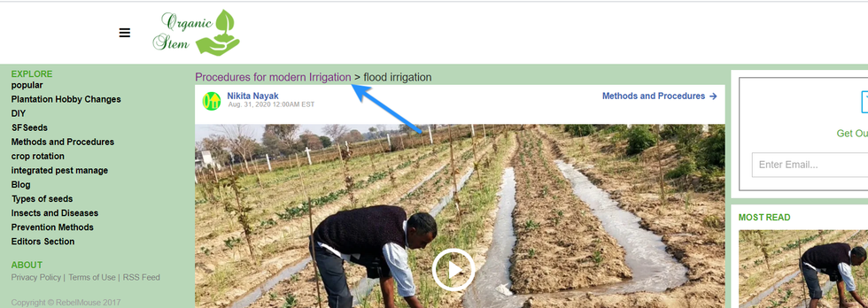 screenshot showing how a breadcrumb title looks on the frontend of a website