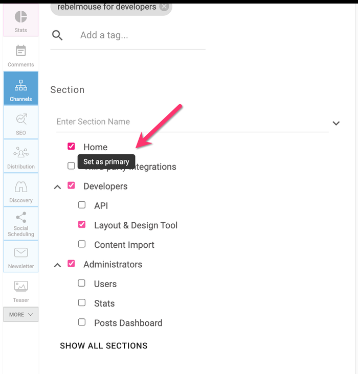 Screenshot showing the Channel tab within the Entry Editor where to select a section as primary