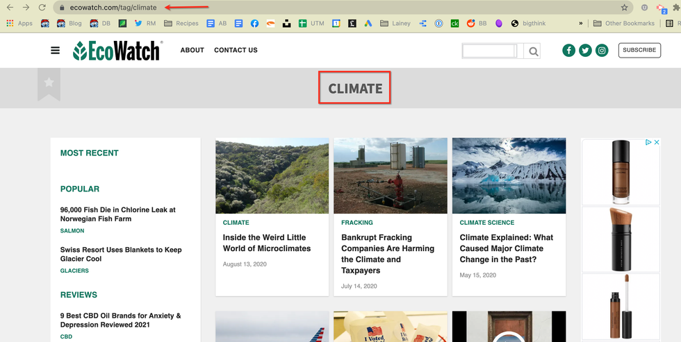 should h1 be site title