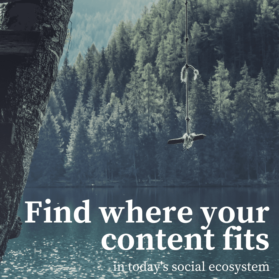 Tree swing over a lake with forest backdrop, text: "Find where your content fits."