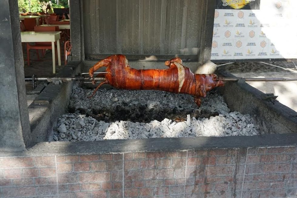 Whole pig roasting on a rotisserie over a bed of hot coals.